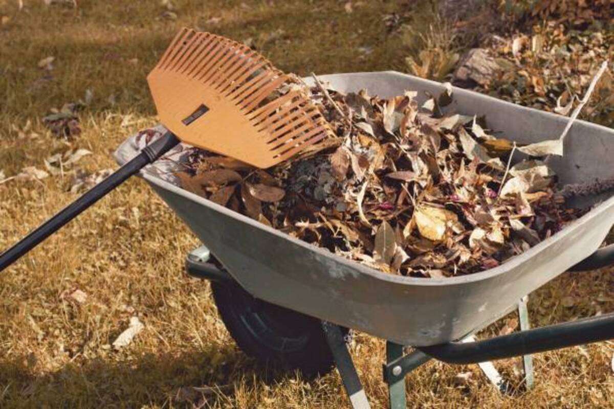 Junk Removal vs Dumpster Rental: Which Is Better in Seattle, WA?